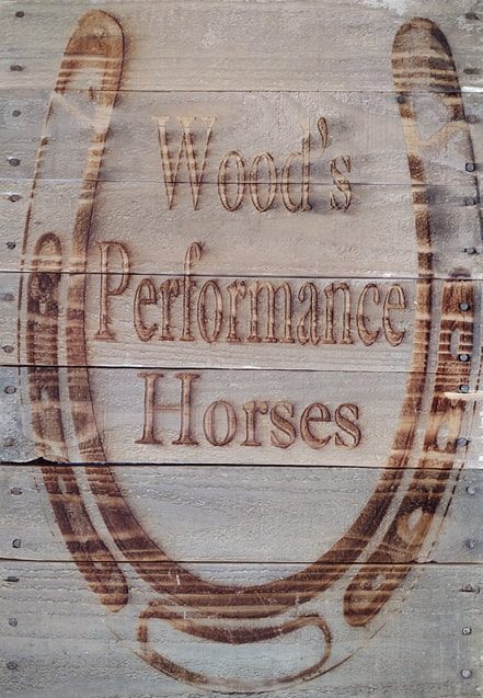 Wood's Performance Horses