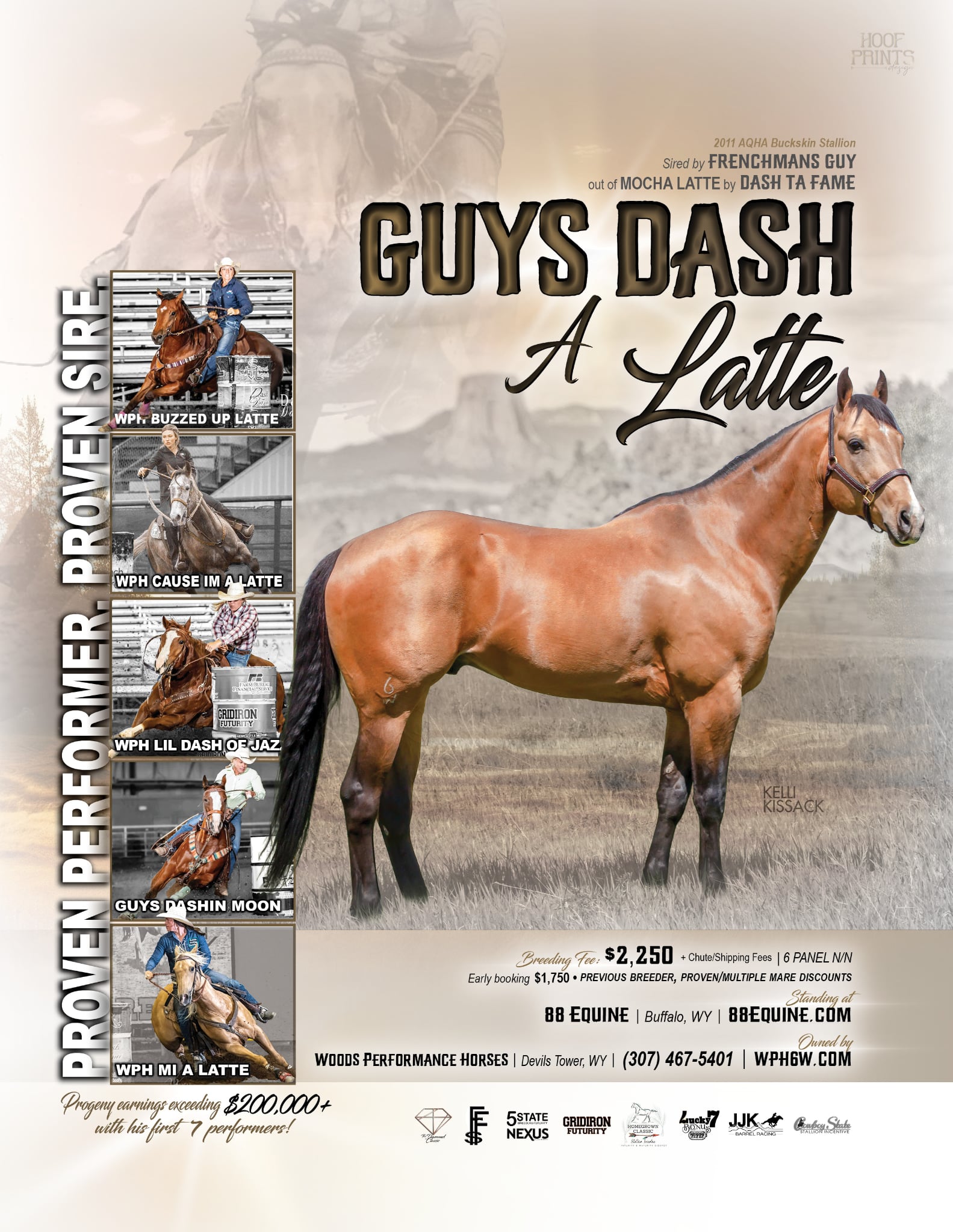 Stallions – Wood's Performance Horses